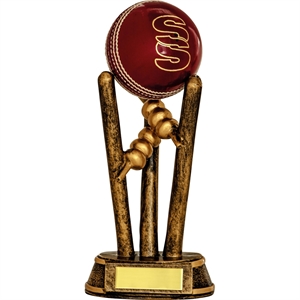 Trent Cricket Award Front View - RFC2206DBU