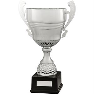 Arthur Trophy Cup - 2102