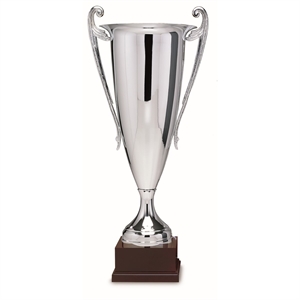 Excelsior Silver Cup - 349