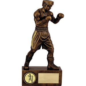 Armstrong Boxing Award - RF4807/ RF4808