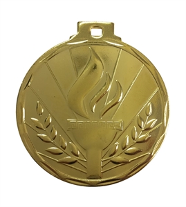 Gold Budget Torch Medal (size: 50mm) - 790550EG