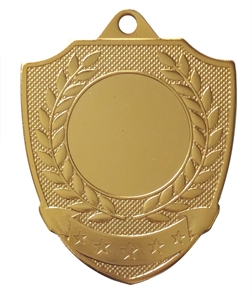 Gold Economy Shield Medal (size: 50mm) - 6587250EG