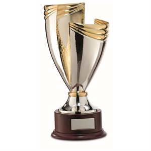 Continental Design Trophies & Awards