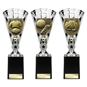 Cobra Football Star Cup Silver - TS24206/ TS24195/ TS24202 choice of 3 images