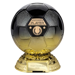 Elite Football Manager's Player Award - PM25404