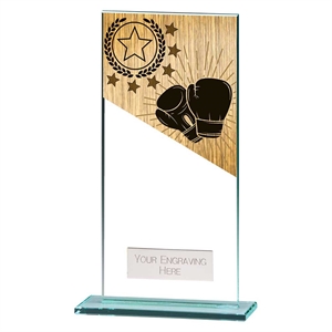 Mustang Boxing Jade Glass Award - CR25254