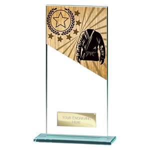 Mustang Martial Arts Jade Glass Award - CR25145