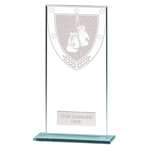 Millennium Boxing Jade Glass Award - CR25244